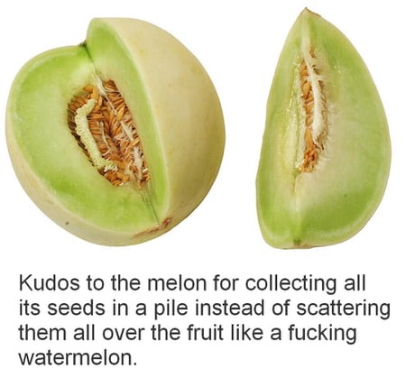 Kudos to the melon for collecting all its seeds in a pile instead of scattering them all over the fruit like a fucking watermelon.