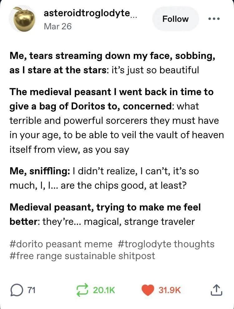 Me, tears streaming down my face, sobbing, as I stare at the stars: it's just so beautiful. The medieval peasant I went back in time to give a bag of Doritos to, concerned: what terrible and powerful sorcerers they must have in your age, to be able to veil the vault of heaven itself from view, as you say. Me, sniffling: I didn't realize, I can't, i