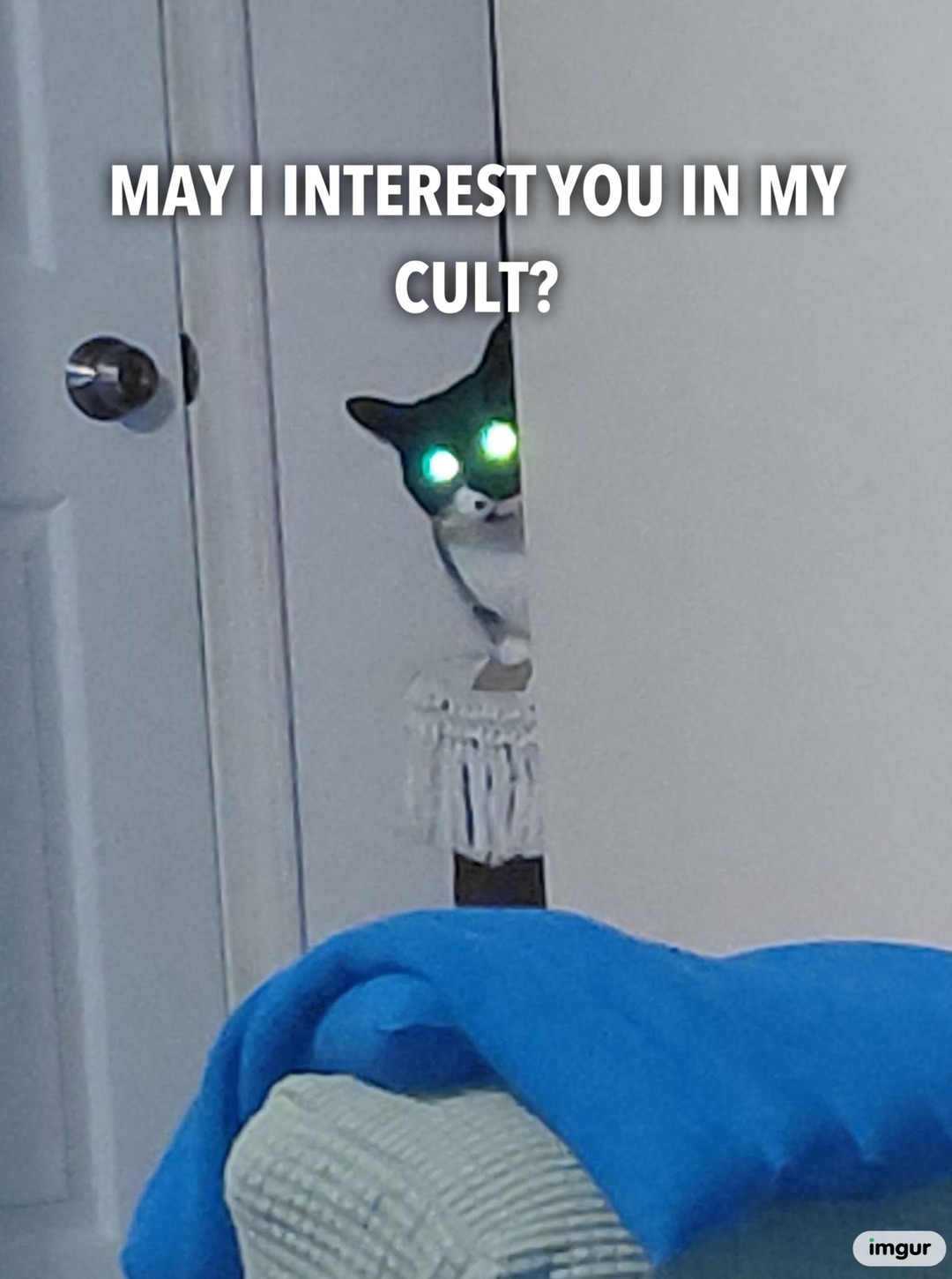 MAY I INTEREST YOU IN MY CULT?