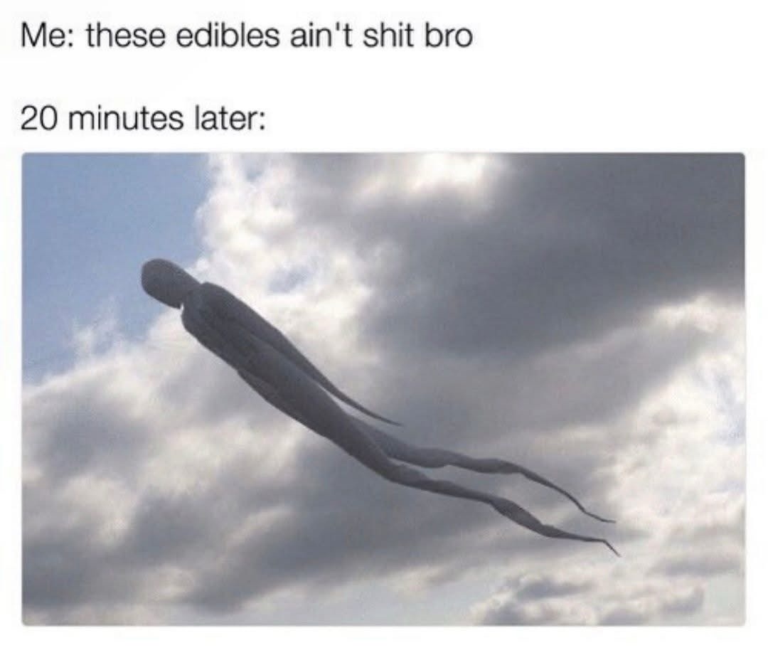 Me: these edibles ain't shit bro 20 minutes later: