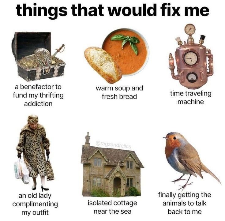 things that would fix me a benefactor to fund my thrifting addiction warm soup and fresh bread time traveling machine an old lady complimenting my outfit isolated cottage near the sea finally getting the animals to talk back to me @ragzandrelics