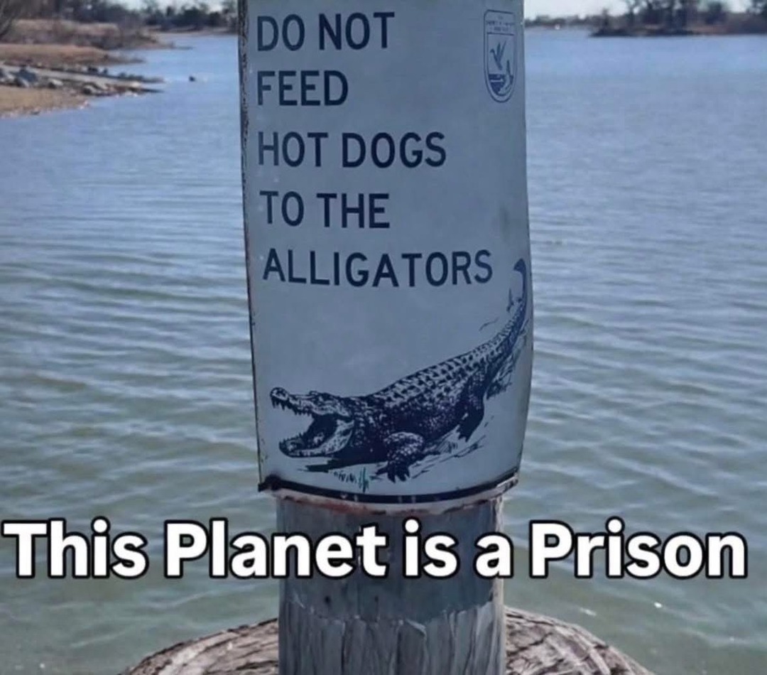 DO NOT FEED HOT DOGS TO THE ALLIGATORS
This Planet is a Prison
