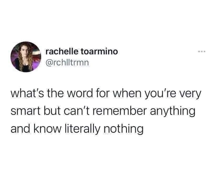 rachelle toarmino @rchlltrmn what's the word for when you're very smart but can't remember anything and know literally nothing