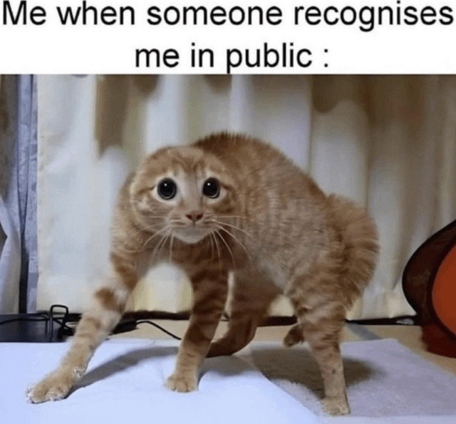 Me when someone recognises me in public :