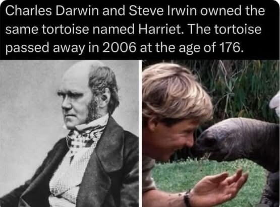 Charles Darwin and Steve Irwin owned the same tortoise named Harriet. The tortoise passed away in 2006 at the age of 176.