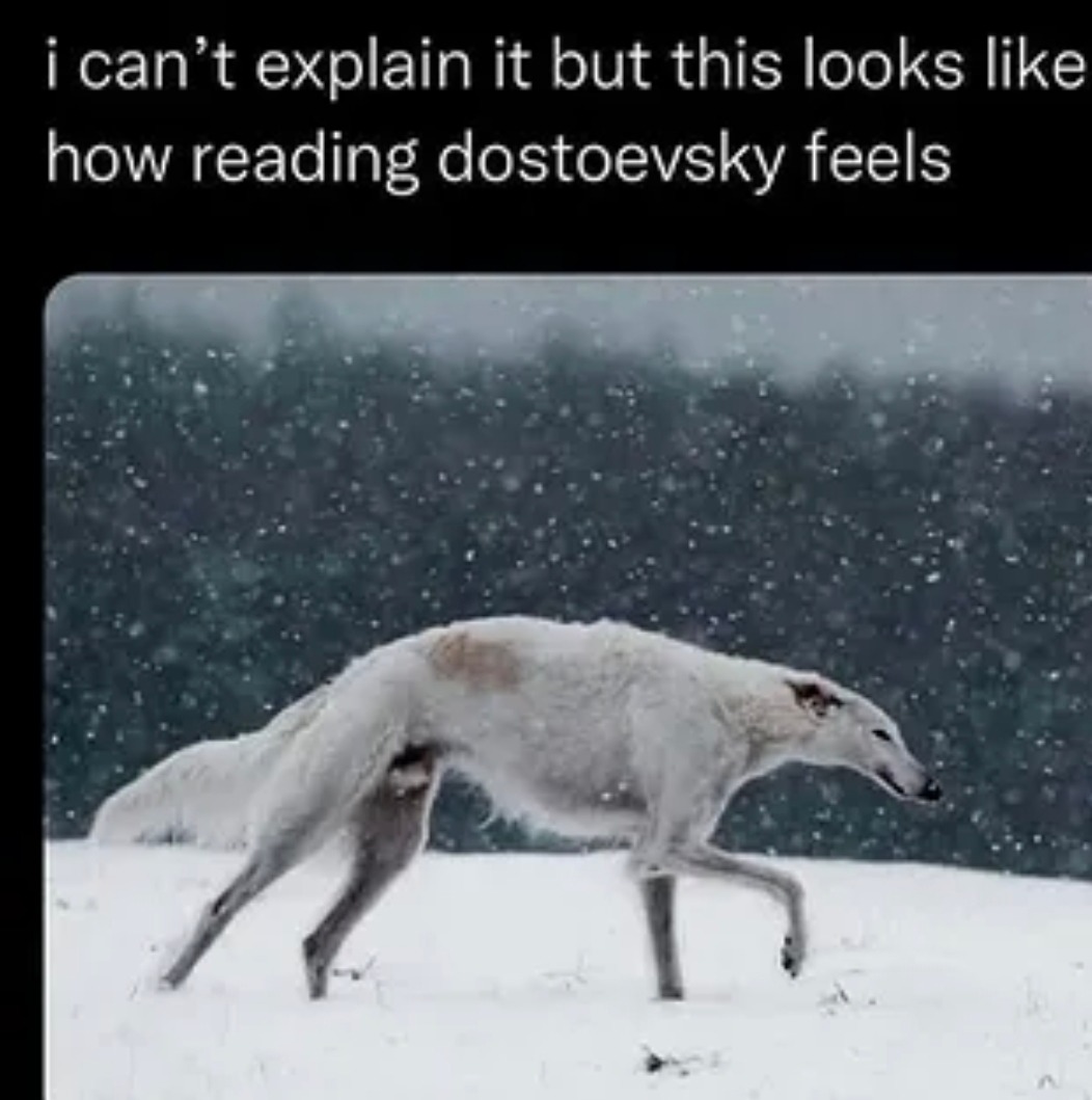 i can't explain it but this looks how reading dostoevsky feels