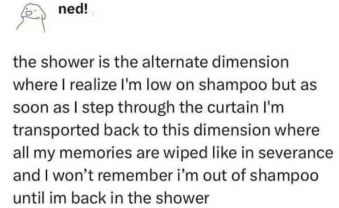 ned! the shower is the alternate dimension where I realize I'm low on shampoo but as soon as I step through the curtain I'm transported back to this dimension where all my memories are wiped like in severance and I won't remember I'm out of shampoo until I'm back in the shower