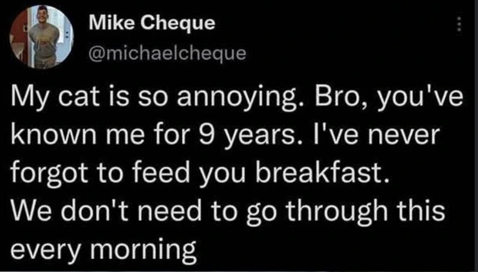Mike Cheque @michaelcheque My cat is so annoying. Bro, you've known me for 9 years. I've never forgot to feed you breakfast. We don't need to go through this every morning