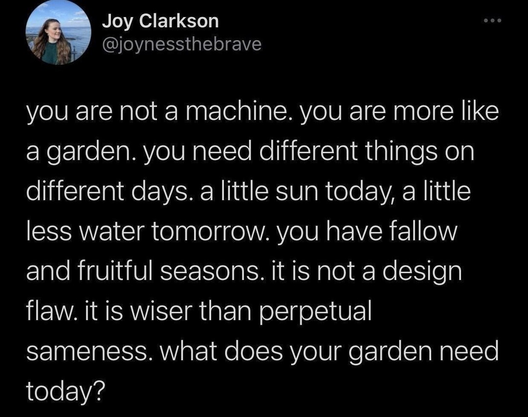 you are not a machine. you are more like a garden. you need different things on different days. a little sun today, a little less water tomorrow. you have fallow and fruitful seasons. it is not a design flaw. it is wiser than perpetual sameness. what does your garden need today?