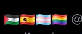 Banderas de Palestina, España, Transgénero y Orgullo LGBTQ+. Símbolo arroba.