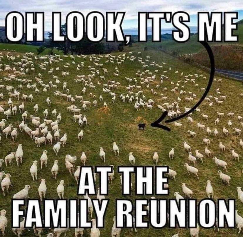 OH LOOK, IT'S ME AT THE FAMILY REUNION