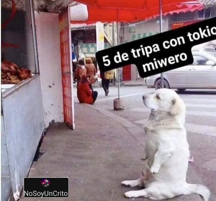 5 de tripa con tokio miwero. NoSoyUnCrito.
