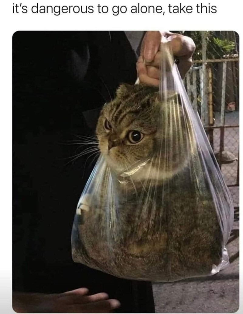 it's dangerous to go alone, take this