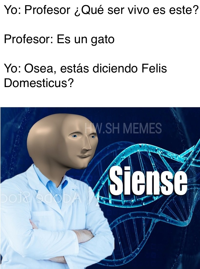 Yo: Profesor ¿Qué ser vivo es este? Profesor: Es un gato. Yo: Osea, ¿estás diciendo Felis Domesticus? Siense.