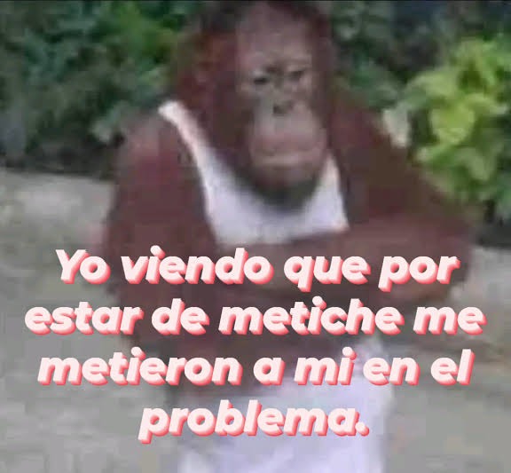 Yo viendo que por estar de metiche me metieron a mi en el problema.
