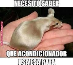 NECESITO SABER QUE ACONDICIONADOR USA ESA RATA