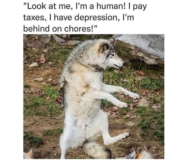 Look at me, I'm a human! I pay taxes, I have depression, I'm behind on chores!