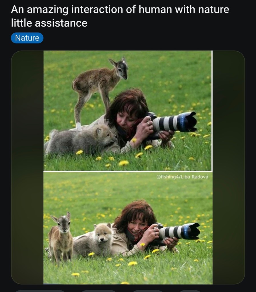 An amazing interaction of human with nature little assistance. Nature. ©fishing4/Liba Radová
