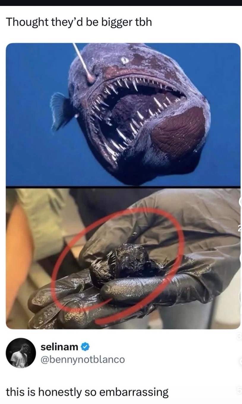 Thought they'd be bigger tbh this is honestly so embarrassing