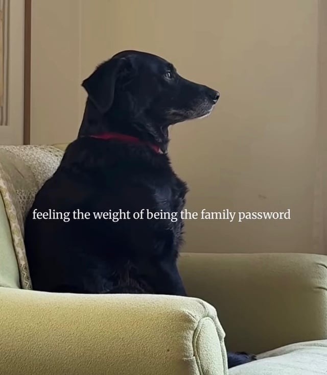 feeling the weight of being the family password