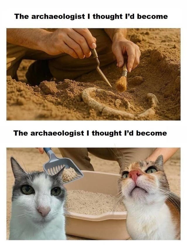 The archaeologist I thought I'd become