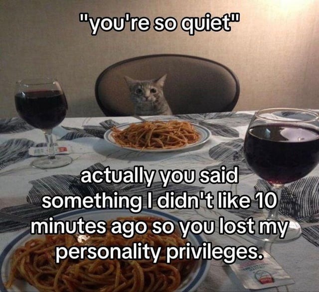 you're so quiet actually you said something I didn't like 10 minutes ago so you lost my personality privileges.