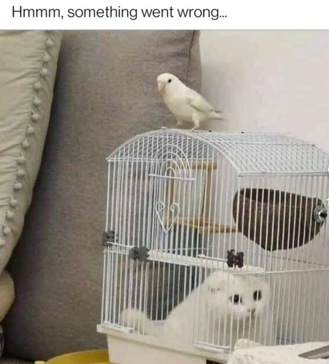 Hmmm, something went wrong...