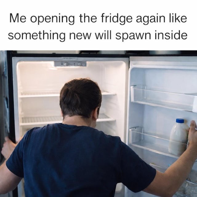 Me opening the fridge again like something new will spawn inside