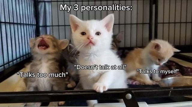 My 3 personalities: Talks too much, Doesn't talk at all, Talks to myself