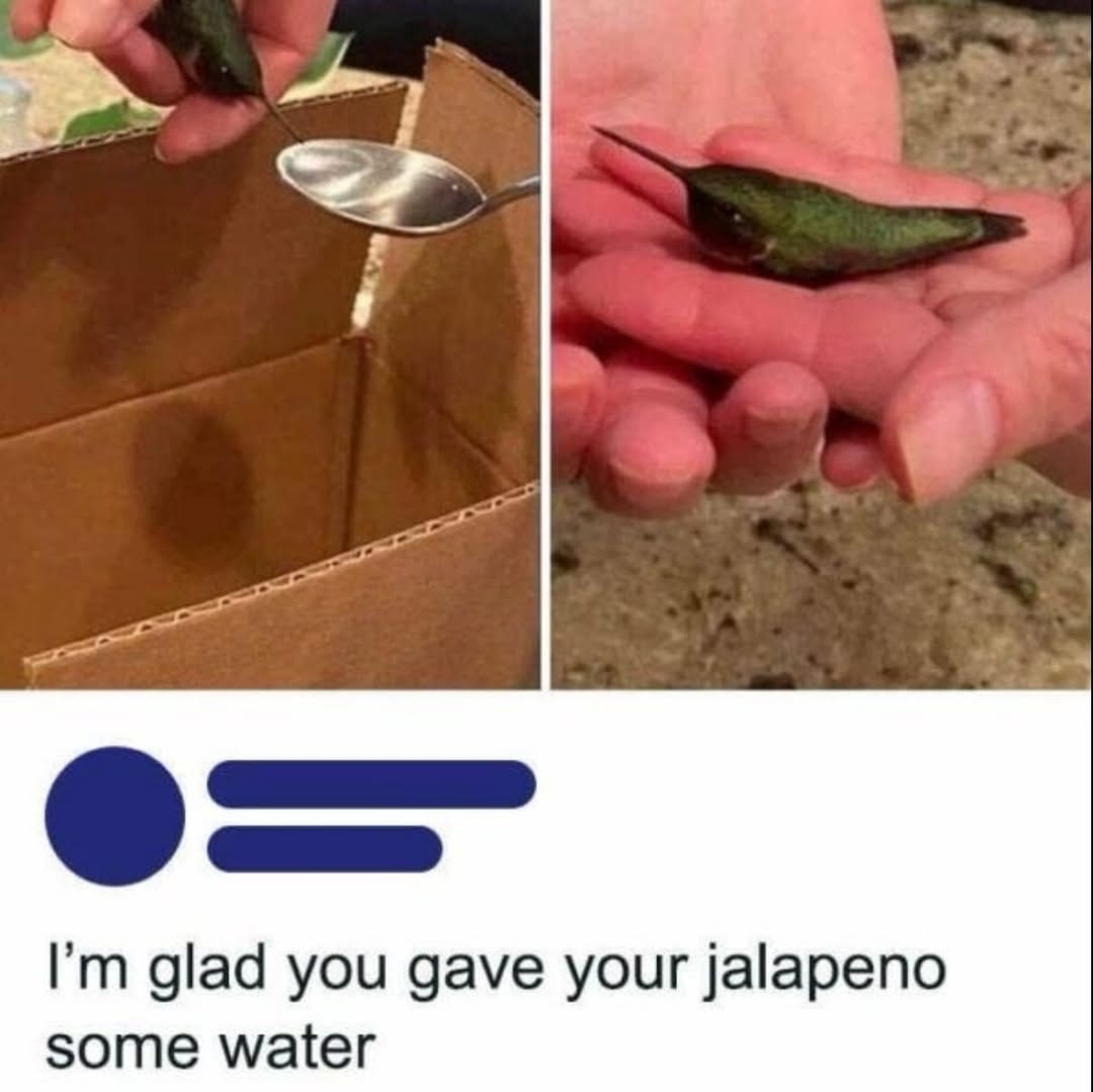I'm glad you gave your jalapeno some water