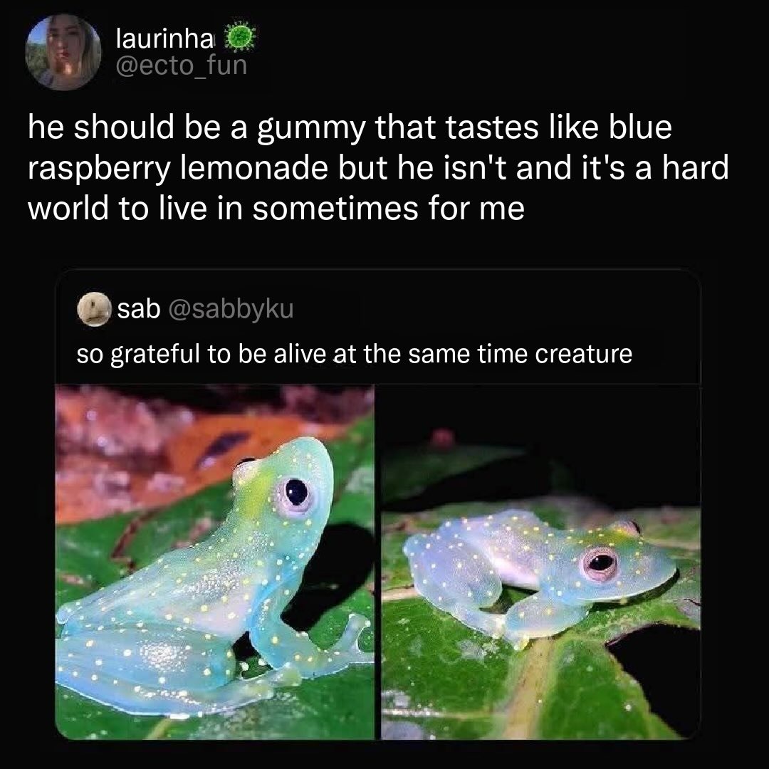 laurinha @ecto_fun he should be a gummy that tastes like blue raspberry lemonade but he isn't and it's a hard world to live in sometimes for me sab @sabkyu so grateful to be alive at the same time creature