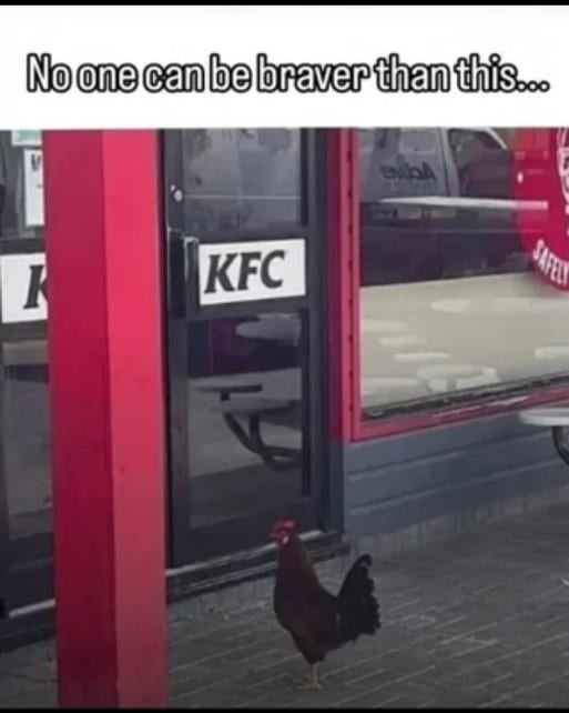 No one can be braver than this... KFC