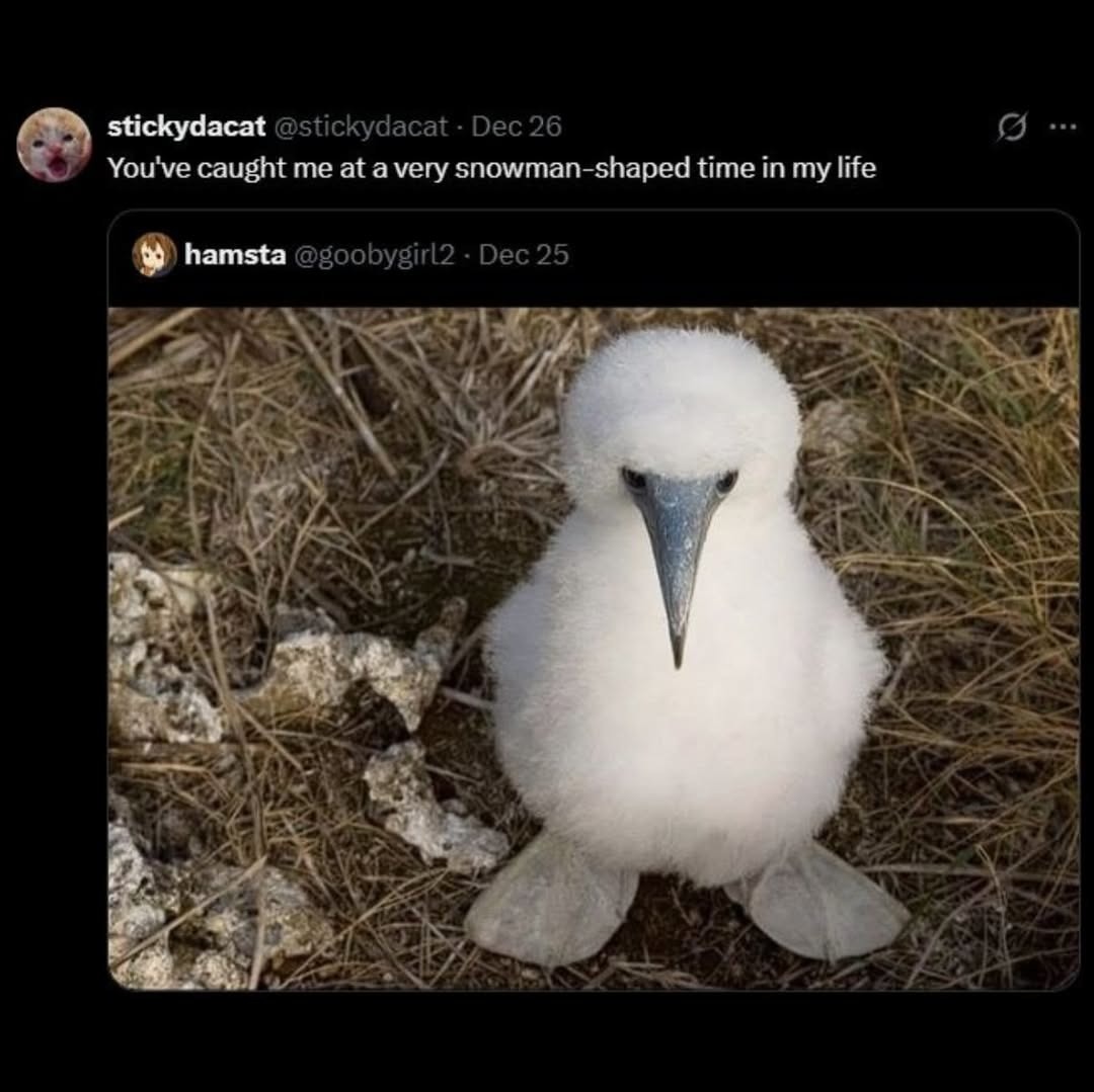 You've caught me at a very snowman-shaped time in my life