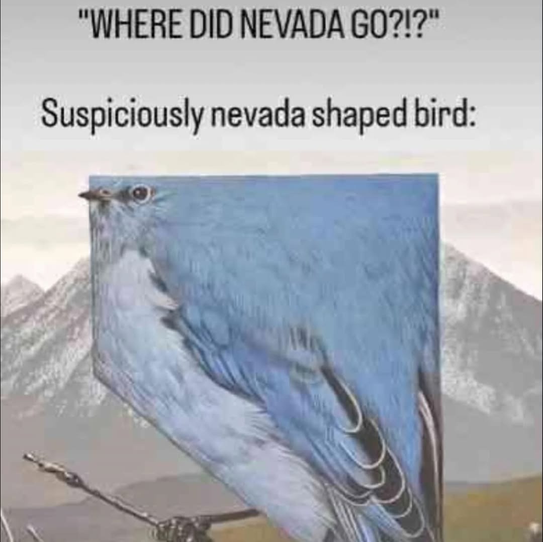 WHERE DID NEVADA GO?!? Suspiciously nevada shaped bird: