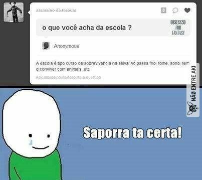o que você acha da escola ? A escola é tipo curso de sobrevivência na selva: vc passa frio, fome, sono, tem q conviver com animais, etc. Saporra ta certa!