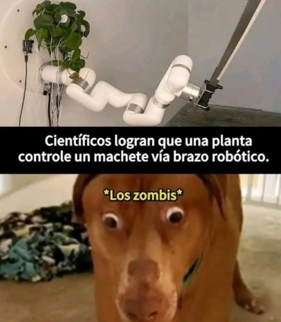 Científicos logran que una planta controle un machete vía brazo robótico. *Los zombis*
