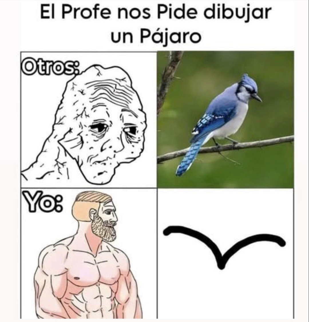 El Profe nos Pide dibujar un Pájaro Otros: Yo: