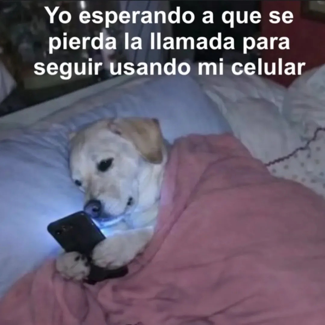 Yo esperando a que se pierda la llamada para seguir usando mi celular