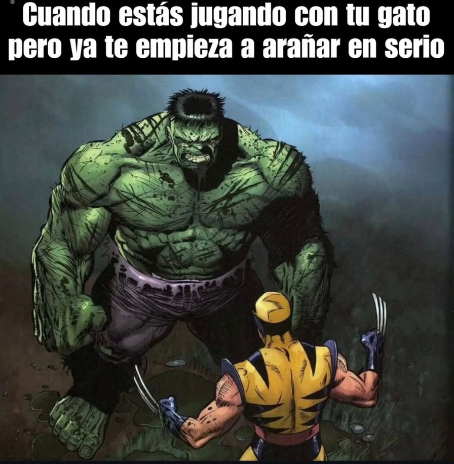 Cuando estás jugando con tu gato pero ya te empieza a arañar en serio