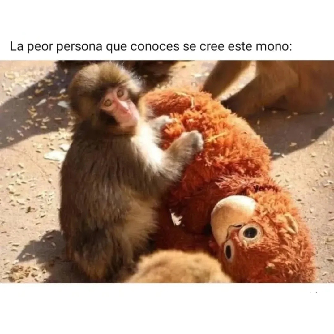 La peor persona que conoces se cree este mono: