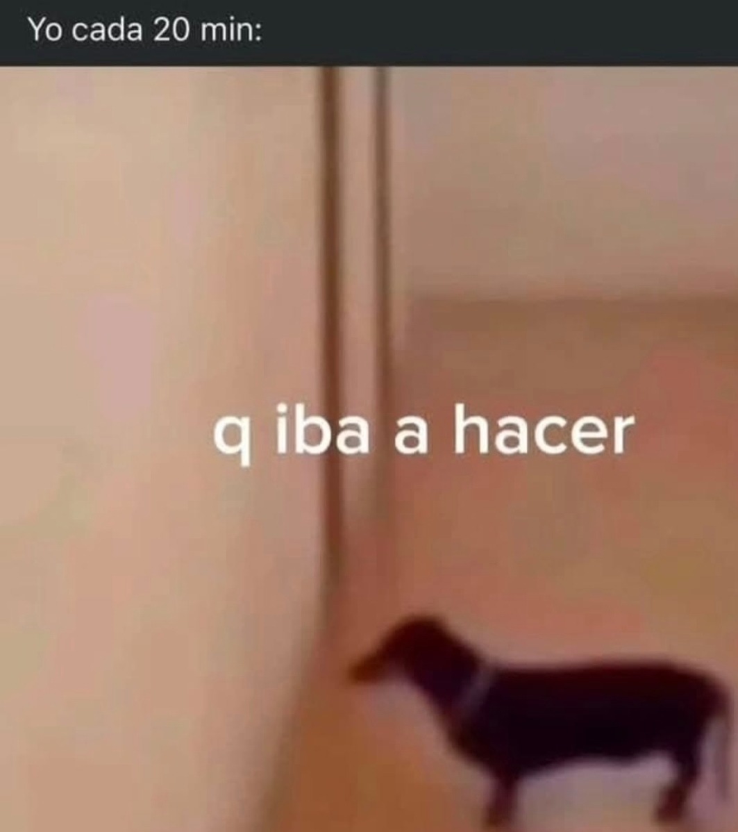 Yo cada 20 min: q iba a hacer