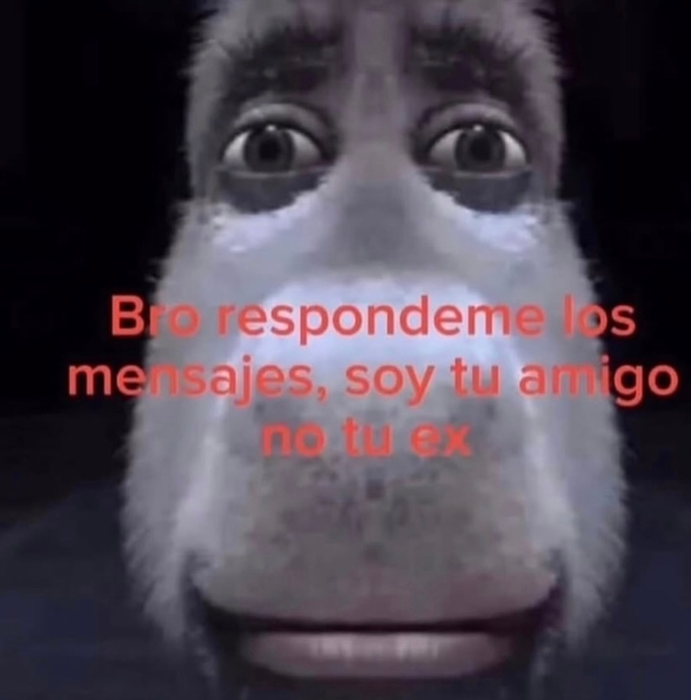 Bro respondeme los mensajes, soy tu amigo no tu ex