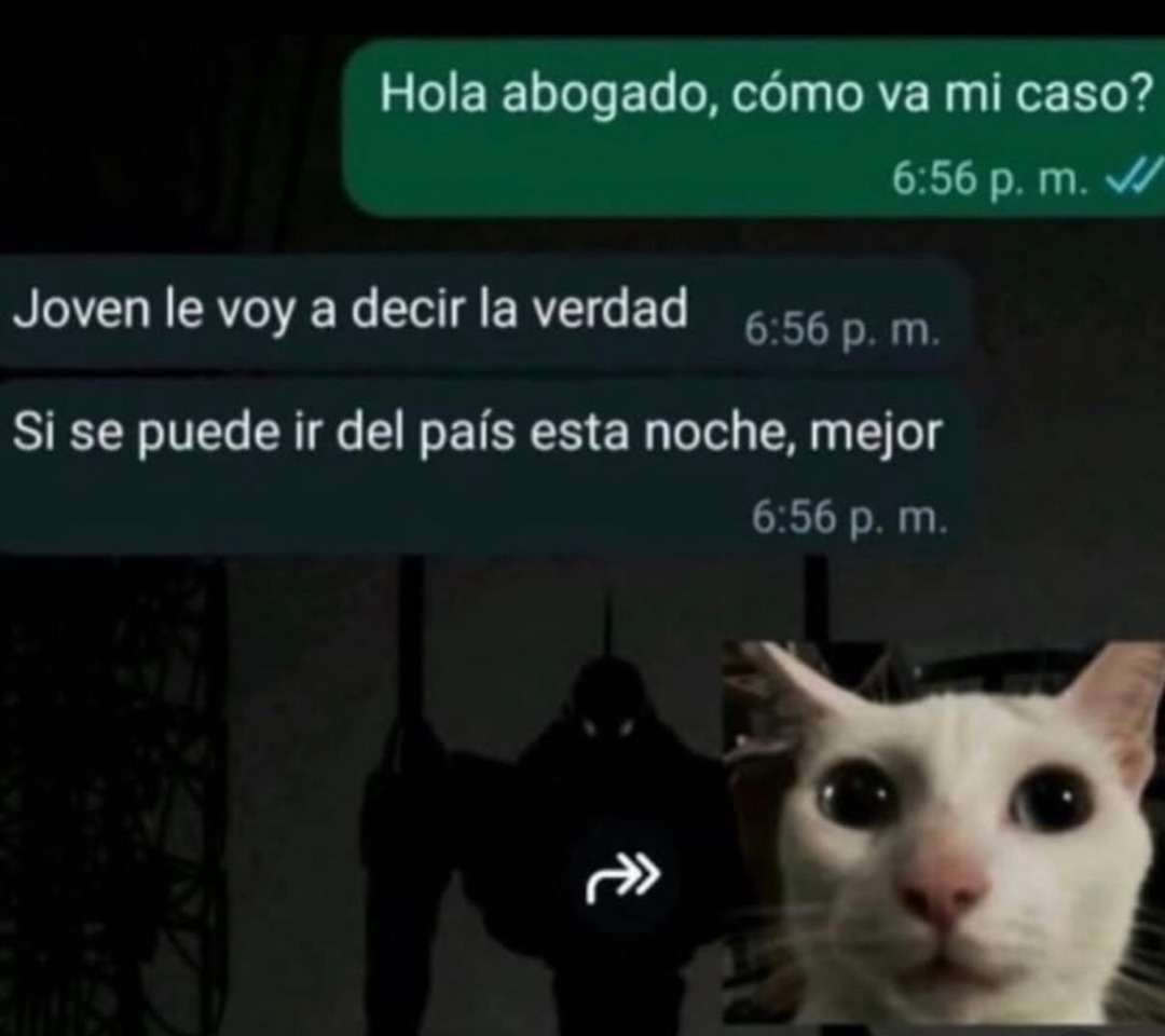 Hola abogado, cómo va mi caso? Joven le voy a decir la verdad. Si se puede ir del país esta noche, mejor.