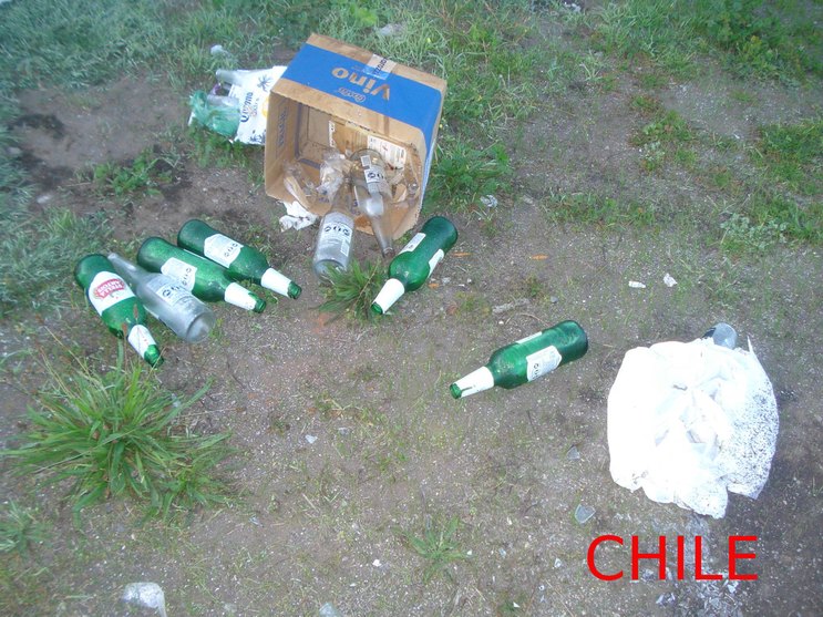 CHILE. Vino. Stella Artois. Botellas de cerveza vacías y basura esparcidas por el suelo.