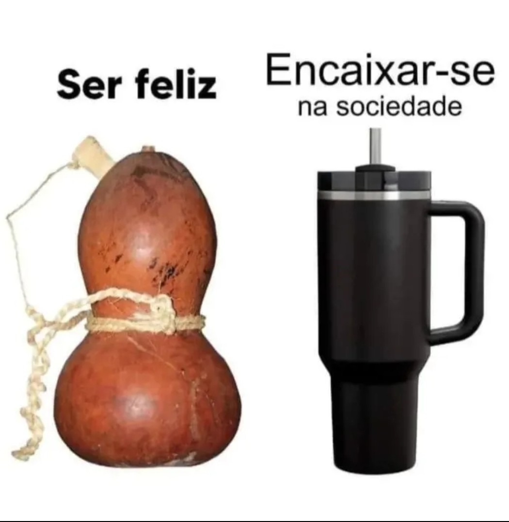 Ser feliz Encaixar-se na sociedade