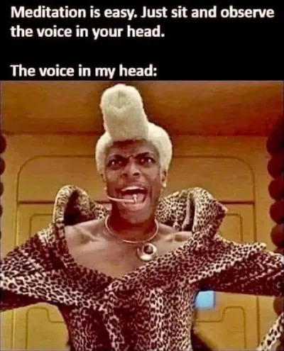 Meditation is easy. Just sit and observe the voice in your head. The voice in my head: