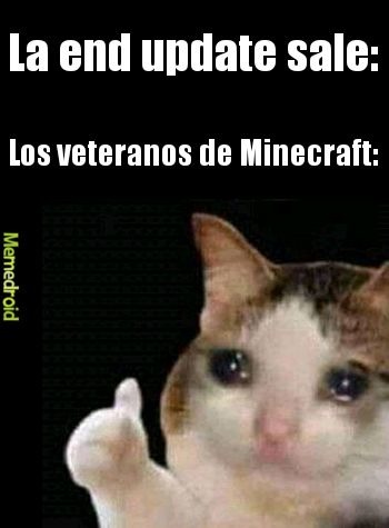 La end update sale: Los veteranos de Minecraft: Memedroid