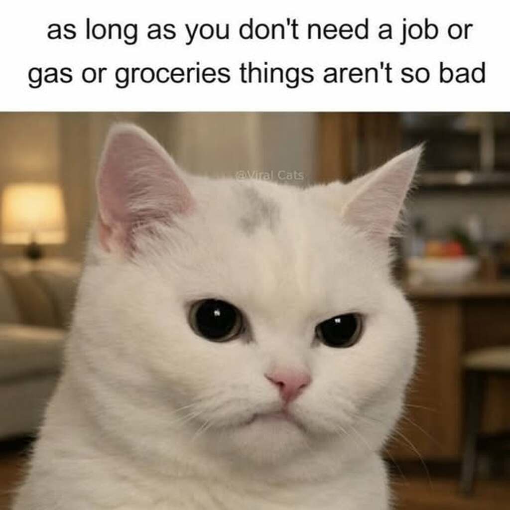 as long as you don't need a job or gas or groceries things aren't so bad