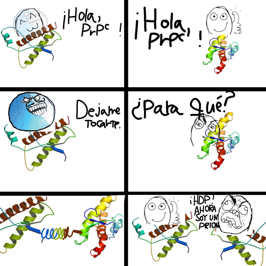 ¡Hola, PrPc! ¡Hola, PrPc! Déjame TOCARTE. ¿Para Qué? ¡HDP! AHORA SOY UN PRION