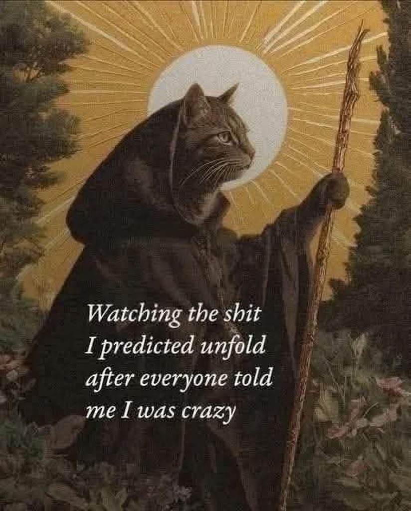 Watching the shit I predicted unfold after everyone told me I was crazy